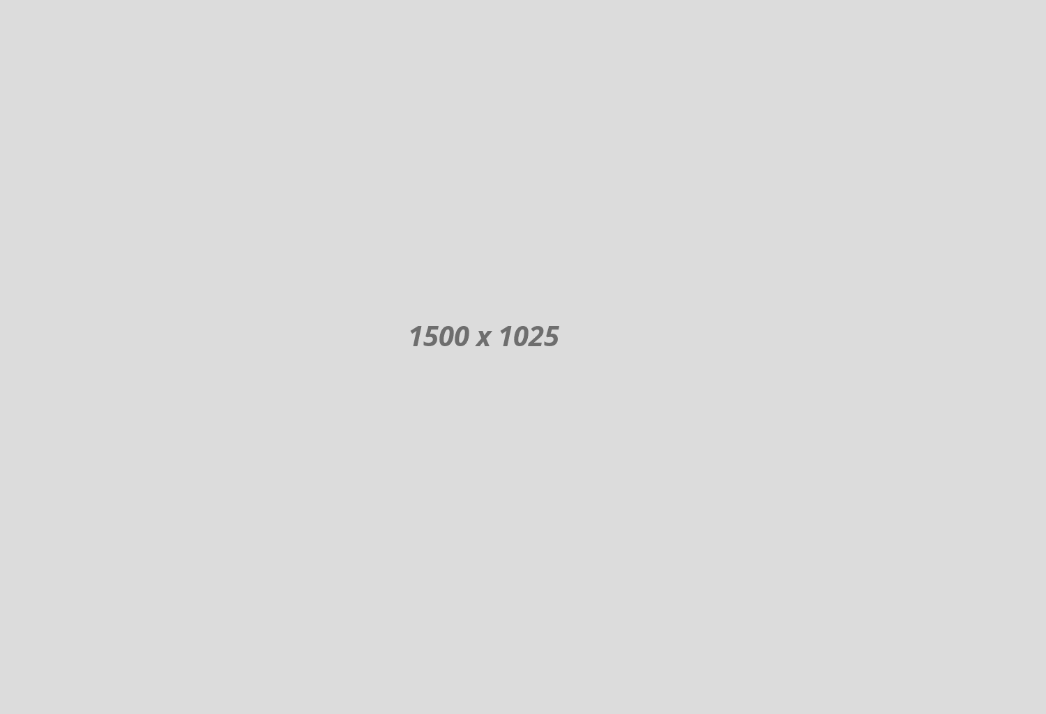 gallery04 gallery04